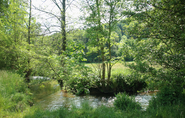 Familientour durchs Steinachtal | © Landratsamt Rhein-Neckar-Kreis