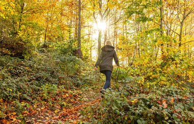 FeenSpuren | Kirgel Ausblicke Premiumwanderweg