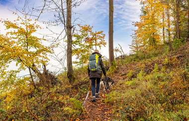 FeenSpuren | Kirgel Ausblicke Premiumwanderweg