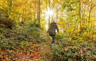 FeenSpuren | Kirgel Ausblicke Premiumwanderweg