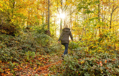 FeenSpuren | Kirgel Ausblicke Premiumwanderweg