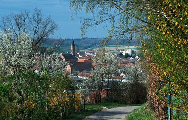 Fischwanderweg Kraichgau Kraichtal (Kurz- und Langroute) | © Stadtverwaltung Kraichtal