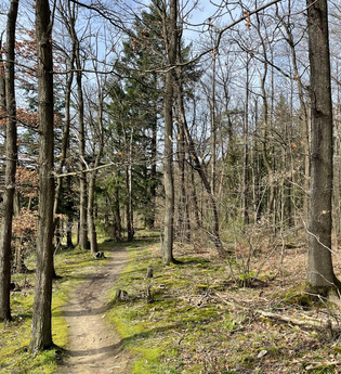 Flora - Fauna & Panorama | © Stadt Brackenheim | Celina Ponto