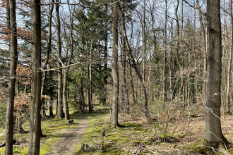 Flora - Fauna & Panorama | © Stadt Brackenheim | Celina Ponto