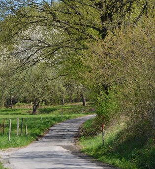 Freudenberg:   „An Ziegelberg und Sinselein“, rot, WF 2 | © Liebliches Taubertal