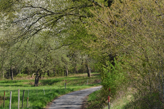 Freudenberg:   „An Ziegelberg und Sinselein“, rot, WF 2 | © Liebliches Taubertal