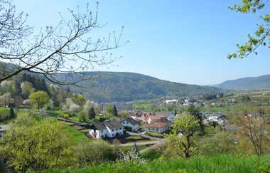 Freudenberg: Durch den Freudenberger Stadtwald, schwarz, WF3 | © Liebliches Taubertal
