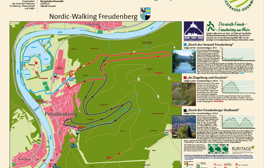 Freudenberg: Durch den Freudenberger Stadtwald, schwarz, WF3 | © Liebliches Taubertal