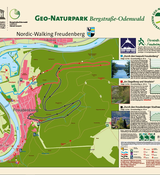 Freudenberg: „Durch den Seepark Freudenberg“, blau, WF 1: | © Liebliches Taubertal