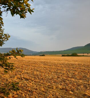 FT2 - Wander3Klang  - Mittlere Tour | © Kraichgau-Stromberg Tourismus e.V.