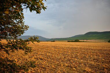 Weitblick in Freudental | © Kraichgau-Stromberg Tourismus e.V.
