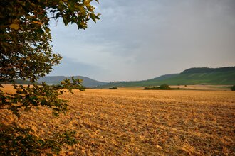 FT2 - Wander3Klang  - Mittlere Tour | © Kraichgau-Stromberg Tourismus e.V.