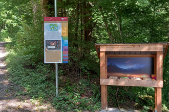 bunte Infotafel am Gaildorfer Geopfad, daneben Wurfbude mit Dinosauriern