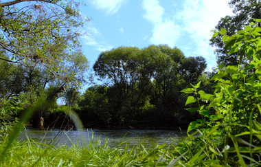 Gänslauf | Neudenau | HeilbronnerLand | © Stadtverwaltung Neudenau