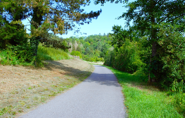 Gänslauf | Neudenau | HeilbronnerLand | © Stadtverwaltung Neudenau