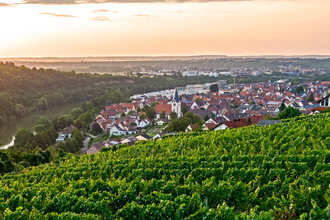 Gemmrigheimer Rundwanderweg | © Gemeinde Gemmrigheim