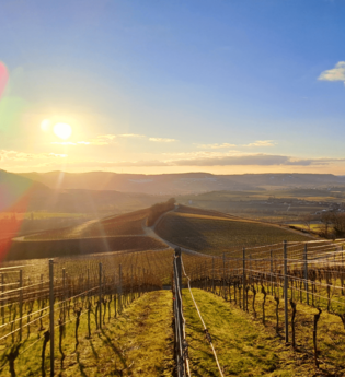 Geopfad, Öhringen, Hohenlohe | © Andreas Odey