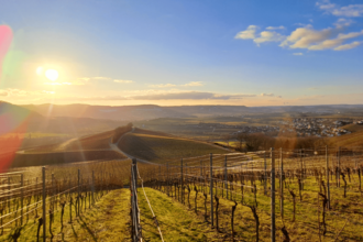 Geopfad, Öhringen, Hohenlohe | © Andreas Odey