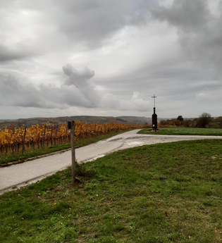 Geopfad Hügelweg | © Land der 1000 Hügel - Kraichgau-Stromberg