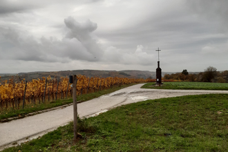 Geopfad Hügelweg | © Land der 1000 Hügel - Kraichgau-Stromberg
