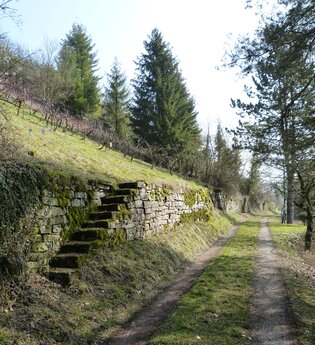 Weg entlang einer Trockenmauer | © TG Odenwald