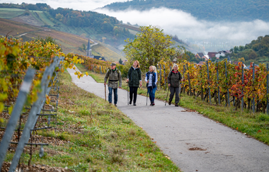 Gesamtstrecke Panoramaweg | © Liebliches Taubertal