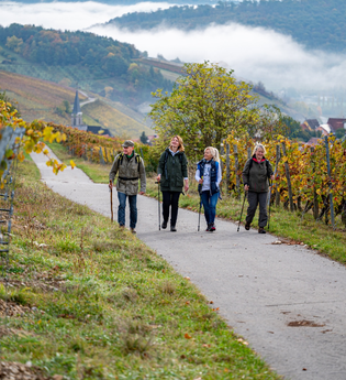 Gesamtstrecke Panoramaweg | © Liebliches Taubertal