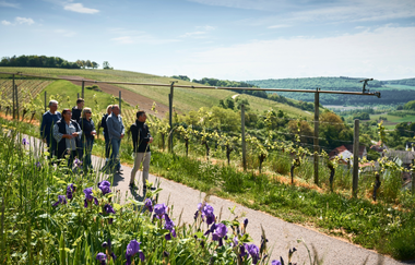 Gesamtstrecke Panoramaweg | © Liebliches Taubertal