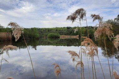 Gleichener See | © Stadt Pfedelbach