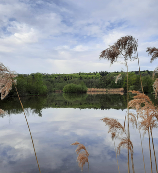 Gleichener See | © Stadt Pfedelbach
