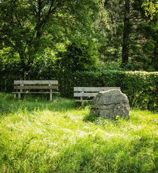 Zu sehen sind zwei Bänke auf einer grünen Wiese, im Hintergrund sind eine Hecke sowie Bäume zu sehen.