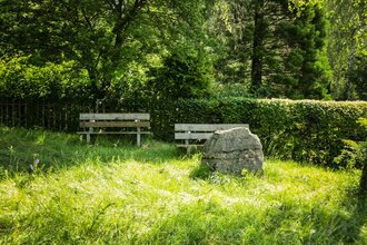Zu sehen sind zwei Bänke auf einer grünen Wiese, im Hintergrund sind eine Hecke sowie Bäume zu sehen.