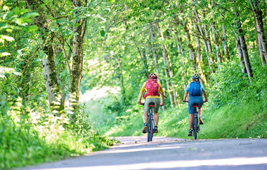 Radfahrer auf Radweg im Wald | © Touristikgemeinschaft Hohenlohe e. V. | Florian Trykowski