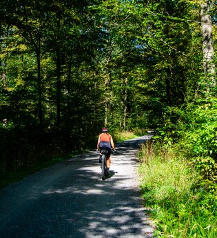Fahrradweg durch den Wald | © GravelDeluxe