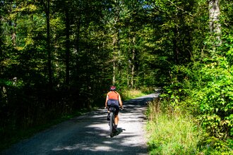 Fahrradweg durch den Wald | © GravelDeluxe