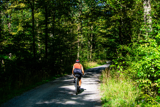 Fahrradweg durch den Wald | © GravelDeluxe