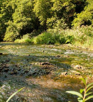 Die Bühler im Taubenloch