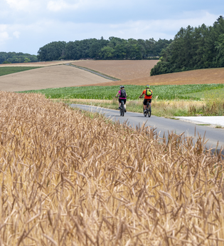 2 Radler fahren entlang eines Radweges zwischen Dinkelfeldern | © Touristikgemeinschaft Odenwald e.V.
