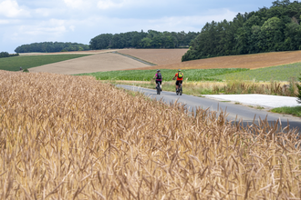 2 Radler fahren entlang eines Radweges zwischen Dinkelfeldern | © Touristikgemeinschaft Odenwald e.V.