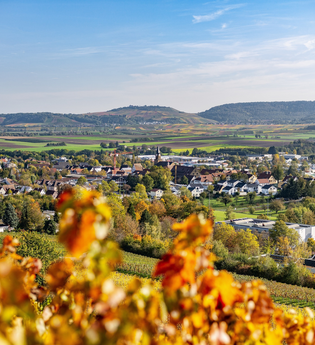 Blick auf Güglingen | HeilbronnerLand | © faktorzwei GmbH Thorsten Faust