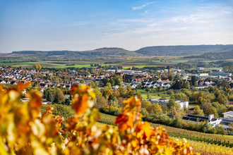 Blick auf Güglingen | HeilbronnerLand | © faktorzwei GmbH Thorsten Faust