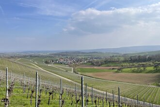 Haberschlachter Rundwanderwege - Dachsbergweg | © Stadt Brackenheim | Celina Ponto