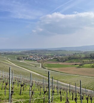 Haberschlachter Rundwanderwege - Dachsbergweg | © Stadt Brackenheim | Celina Ponto