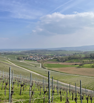 Haberschlachter Rundwanderwege - Dachsbergweg | © Stadt Brackenheim | Celina Ponto