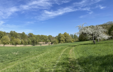 Haberschlachter Rundwanderwege - Forstbachseeweg | © Stadt Brackenheim | Celina Ponto