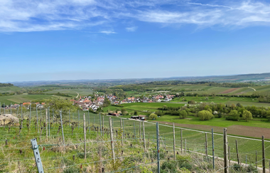 Haberschlachter Rundwanderwege - Heuchelbergweg | © Stadt Brackenheim