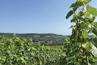 © Stadt Brackenheim | CP