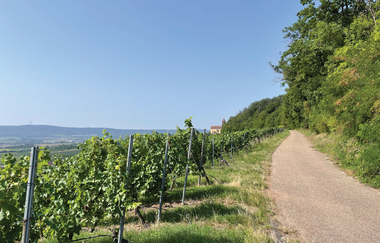Haberschlachter Rundwanderwege-Rosengartenweg | © Stadt Brackenheim | CP