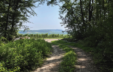 Haberschlachter Rundwanderwege-Rosengartenweg | © Stadt Brackenheim | CP