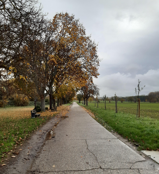 Hammelsgraben-Trail | © Land der 1000 Hügel - Kraichgau-Stromberg